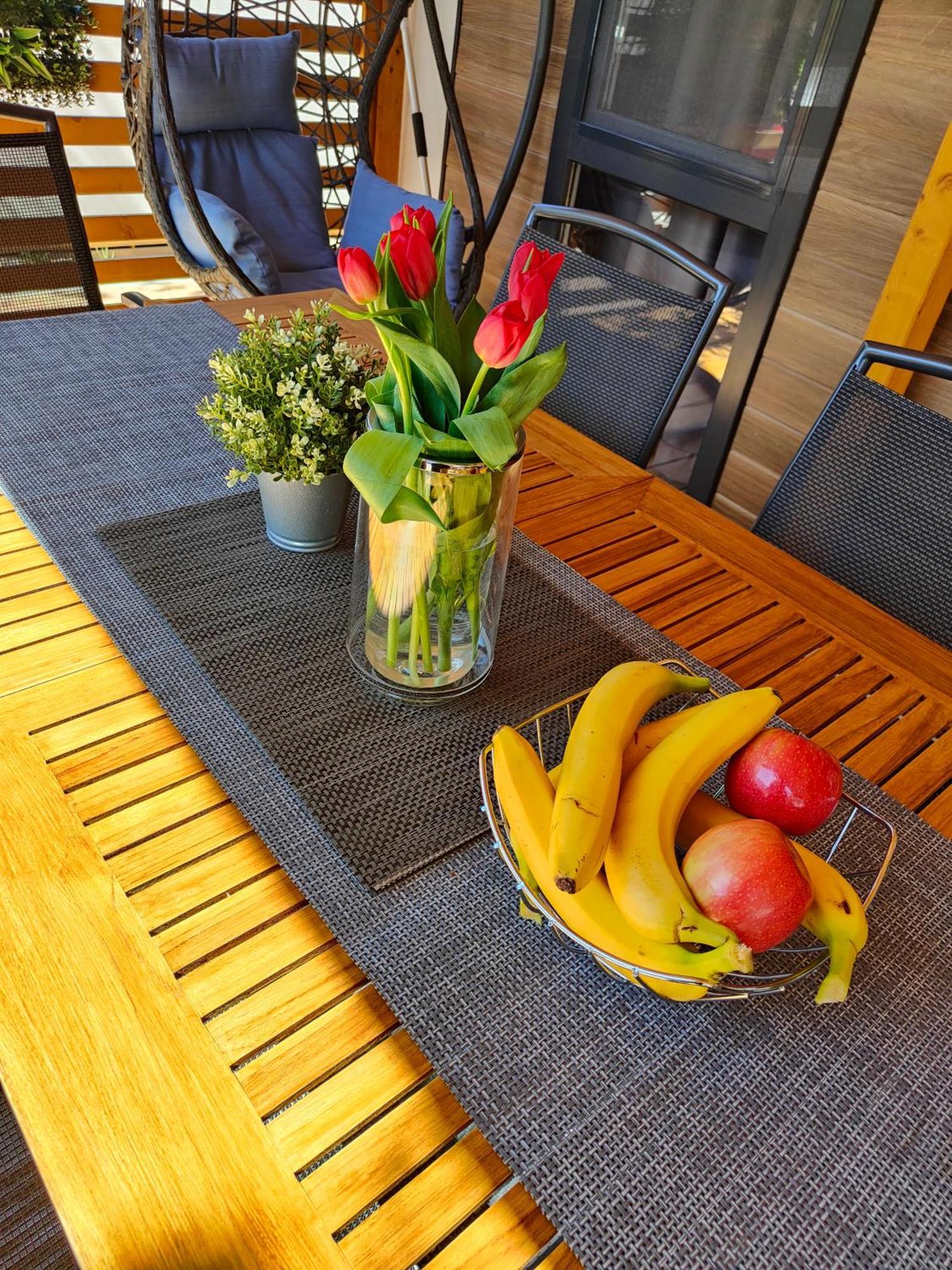 ביוגראד נה מורו Mobile Home Ami & Alen מראה חיצוני תמונה
